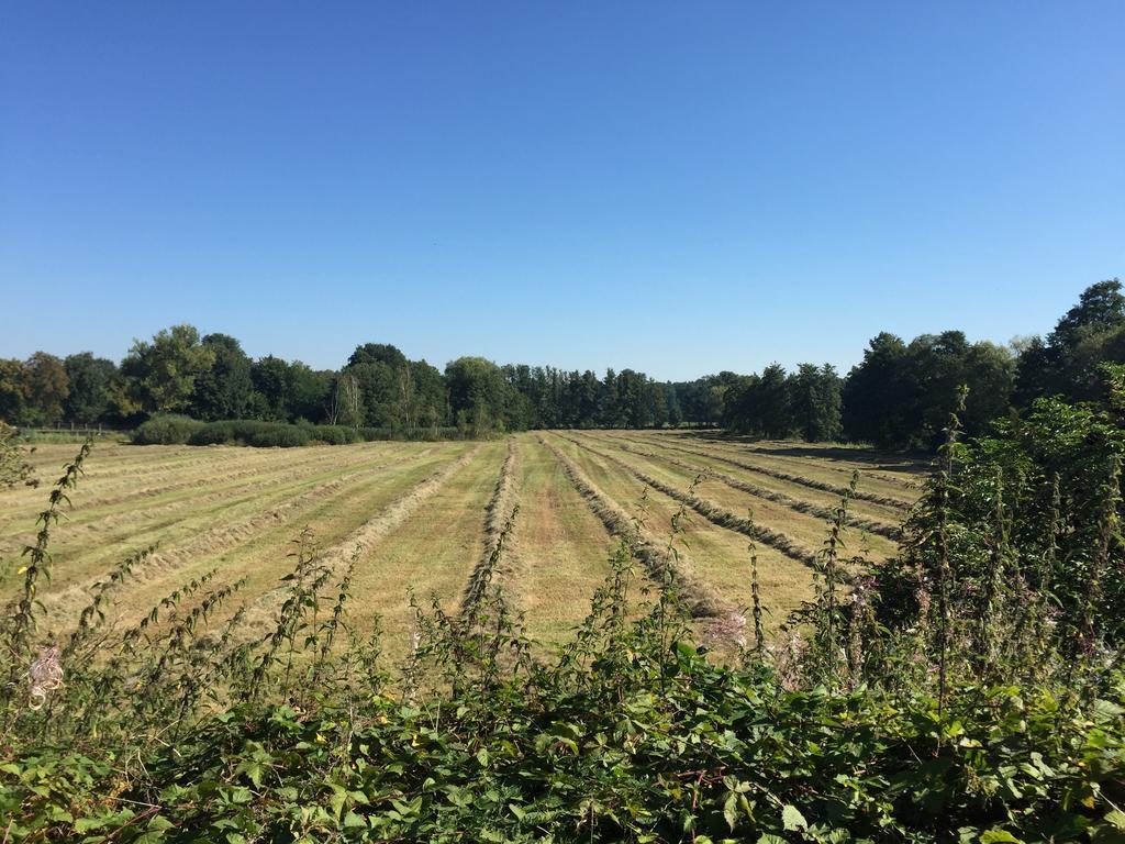 Alwine - Landhaus An Den Spreewiesen Rietz Neuendorf Экстерьер фото