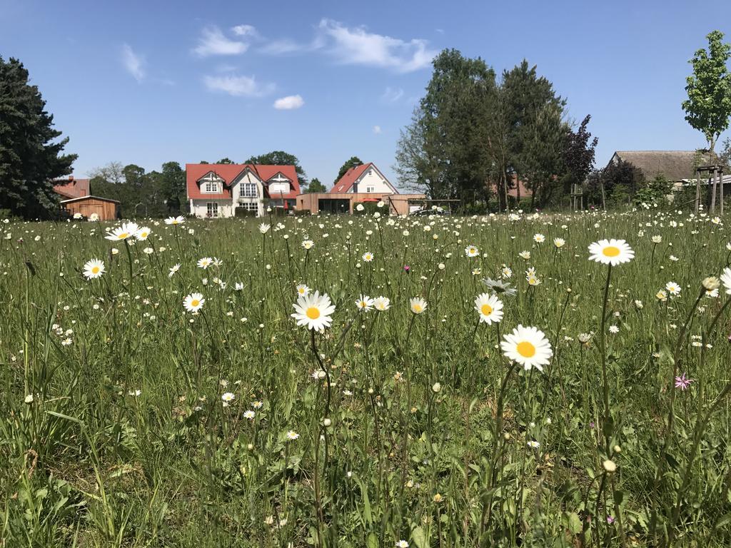 Alwine - Landhaus An Den Spreewiesen Rietz Neuendorf Экстерьер фото